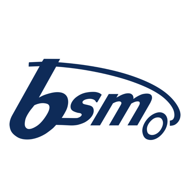 Bundesverband Solare Mobilität BSM Logo