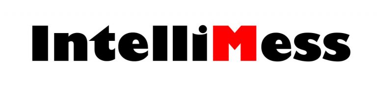 IntelliMess Logo